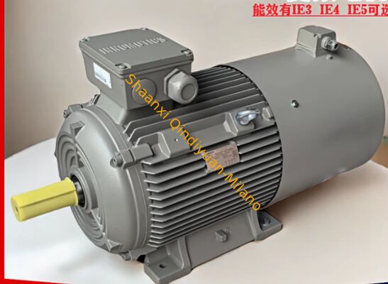 Siemens 1LE0003-0DA22-1FA4 50Hz, 380V 3AC high-efficiency induction motor IE3 (IEC 60034-30) IC411 (Self-ventilated) as standard